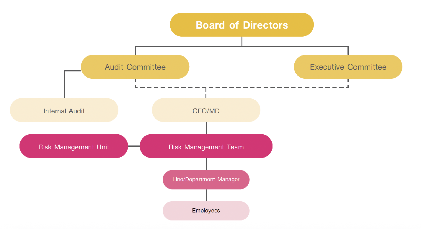 Risk Management Structure